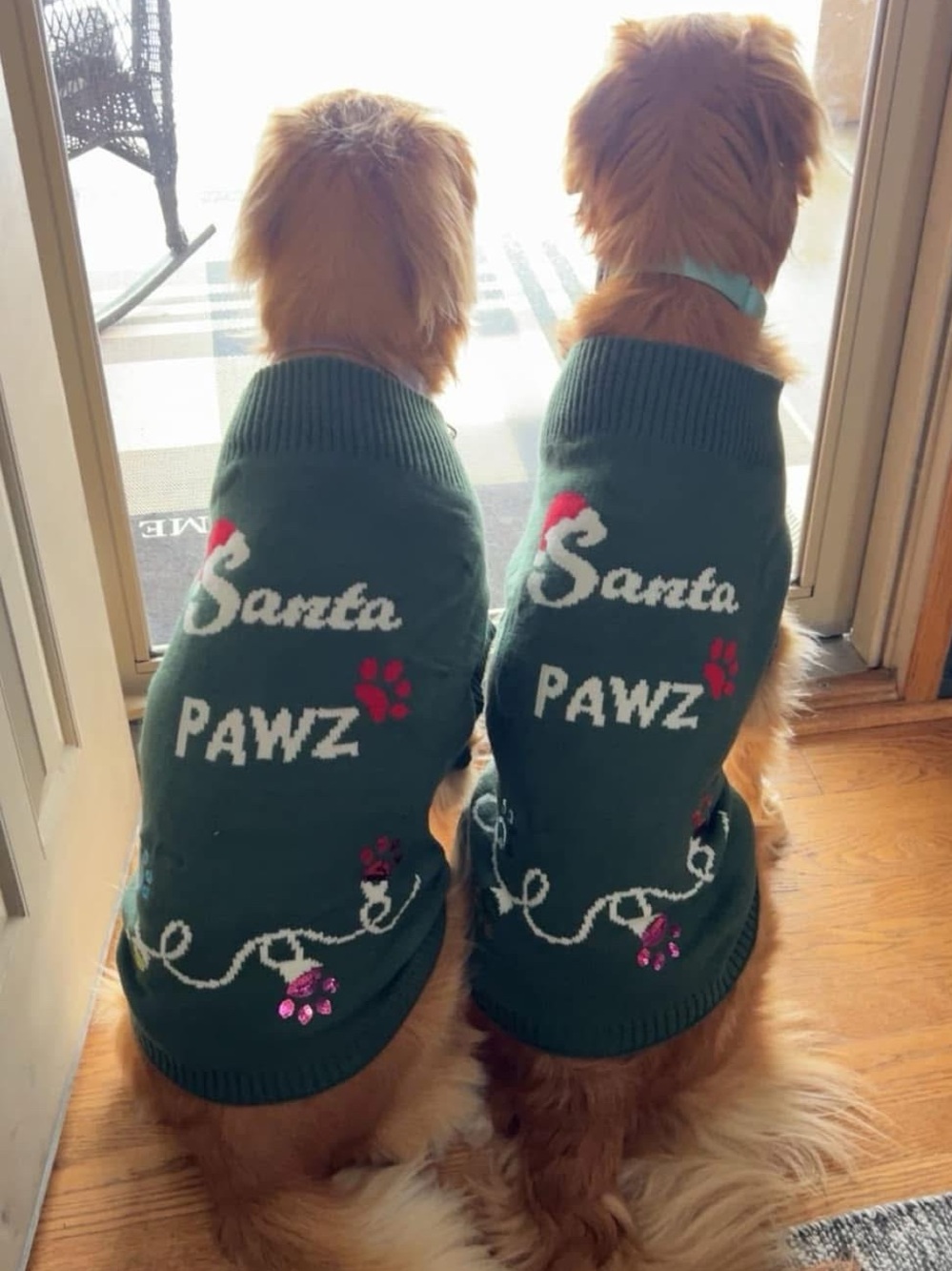 Santa Pawz Dog Sweater Green Sequins M